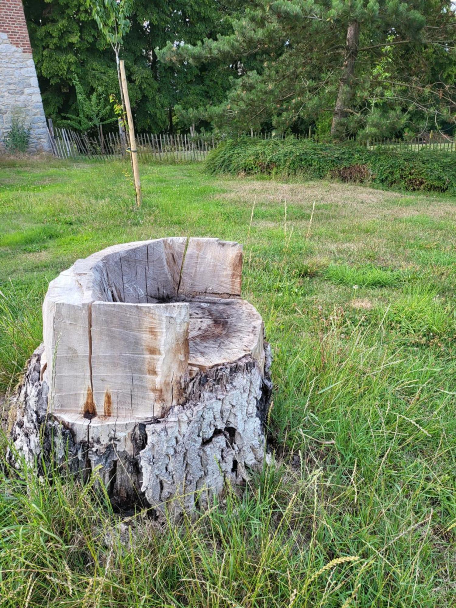 A La Salle De Jeux Et Son Jardin Autour De La Cabane Verte Dinant Buitenkant foto